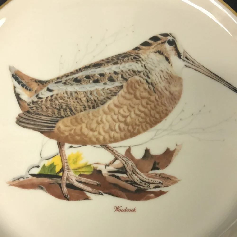 Interface American Manor China California Quail & Woodcock 11” plates‎ made USA